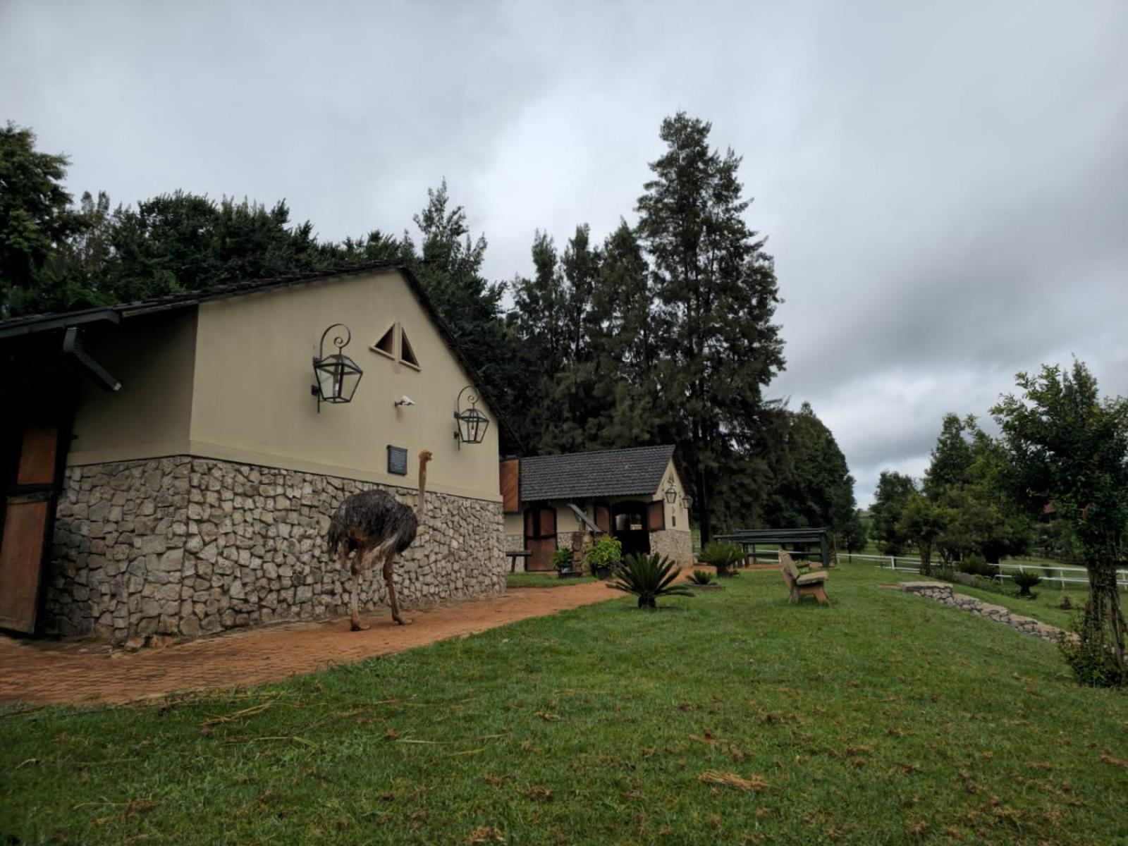 Silver Mist Resort, Haenertsburg Εξωτερικό φωτογραφία