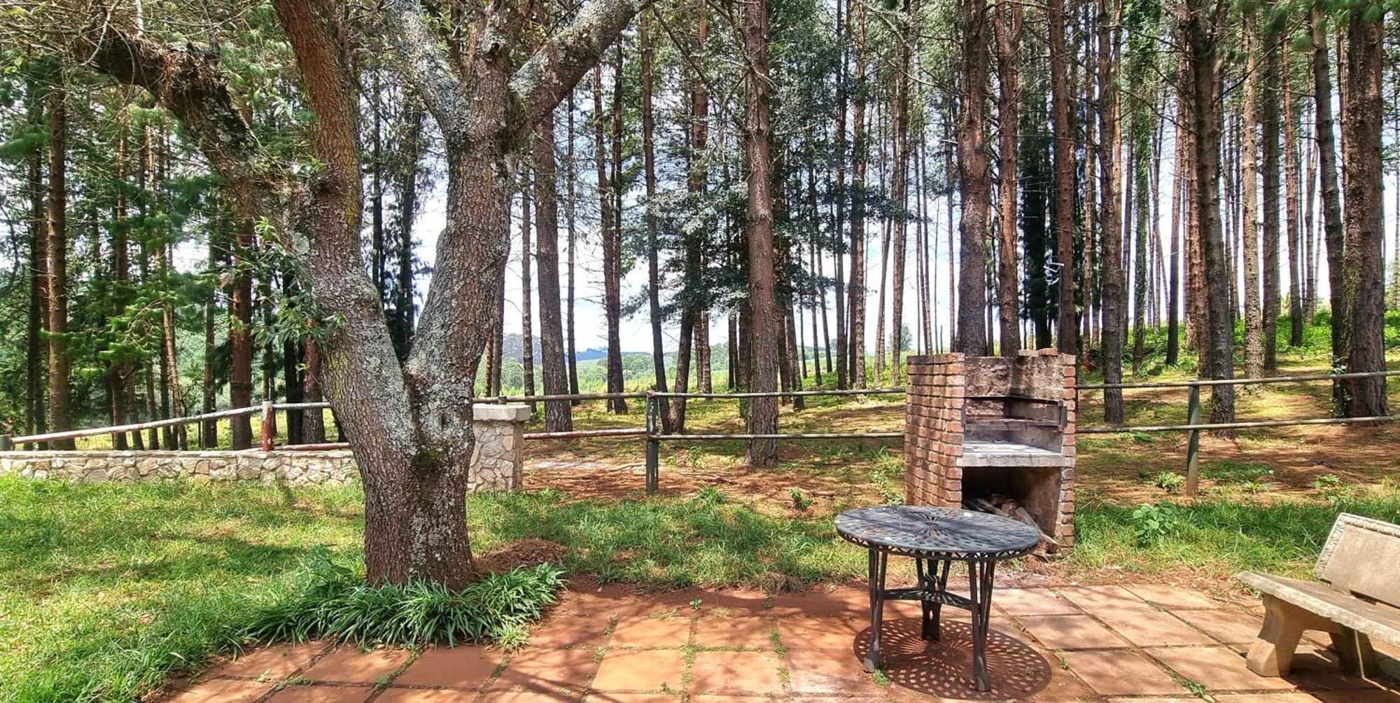 Silver Mist Resort, Haenertsburg Εξωτερικό φωτογραφία